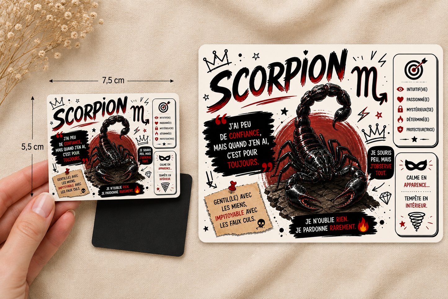🦂🧲 Magnet Signe Astro Scorpion