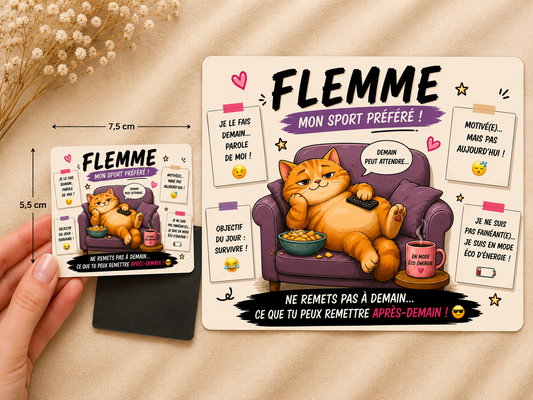 🧲 Magnet humour « Mixte »