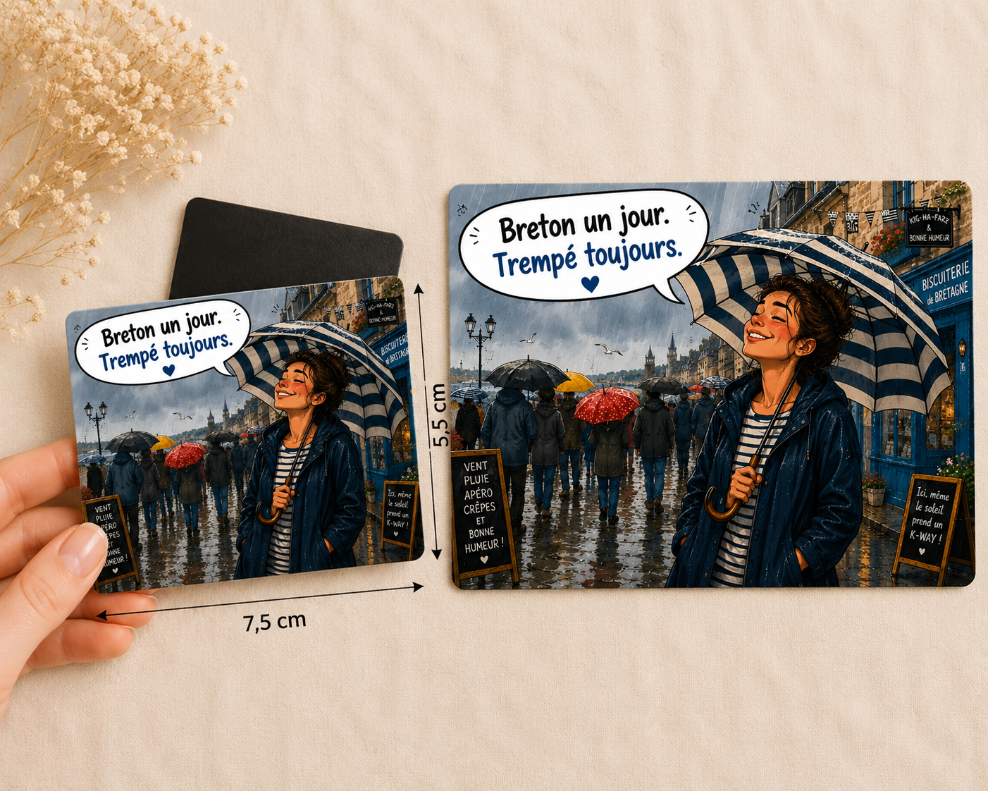 🧲 Magnet humour « Spécial Bretagne »