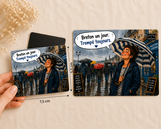 🧲 Magnet humour « Spécial Bretagne »